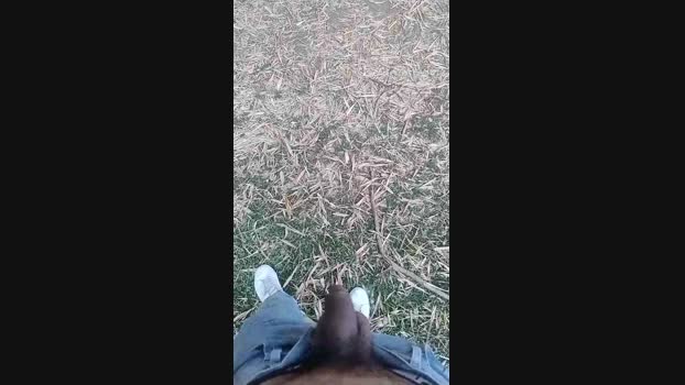 Al_Medellin 31-08-2024 Recorded Video show
