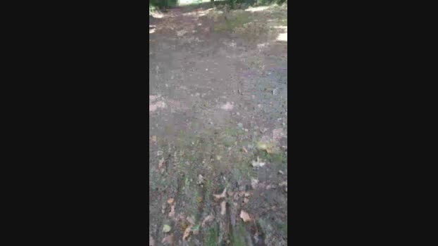 danus 31-08-2024 Recorded Video big