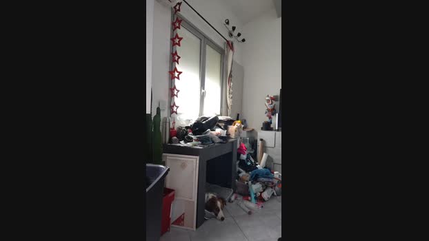 AxlBlackOrganic 01-09-2024 Recorded Video handsome