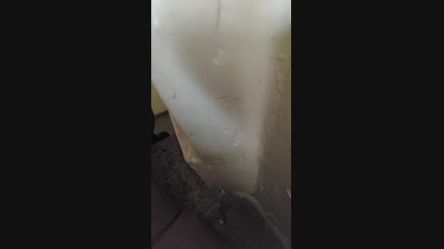 Elcama22 01-09-2024 Recorded Video lick
