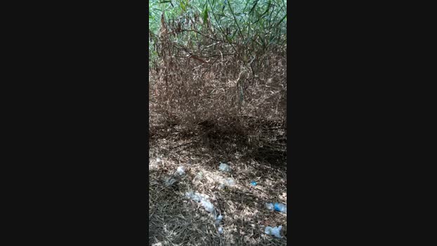 JOREDD 01-09-2024 Recorded Video fuckher