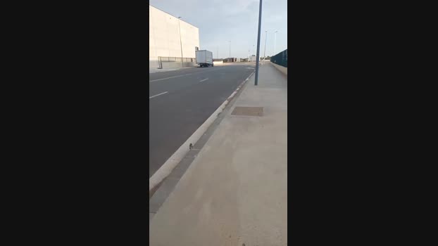 Zayd_69 31-08-2024 Recorded Video sweet