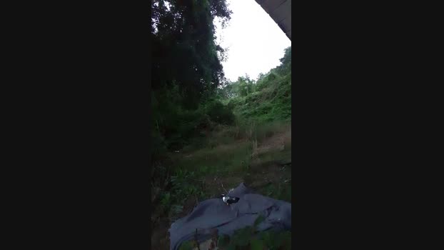 anthoto4444 31-08-2024 Recorded Video gay