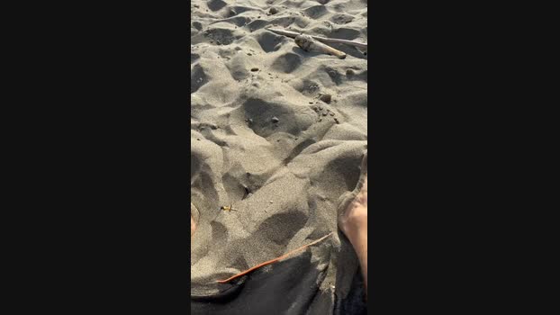 danicloud1 01-09-2024 Recorded Video suckcock