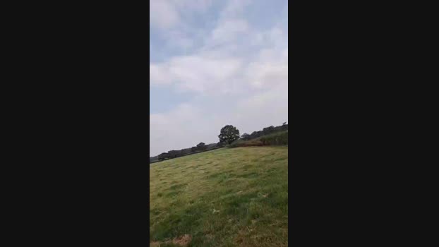 dave_naked 01-09-2024 Recorded Video harddick
