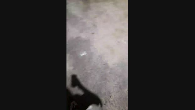 Guyfavelado193 02-09-2024 Recorded Video naughty