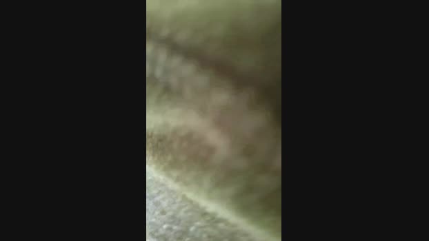 Minipic 02-09-2024 Recorded Video bj-dildo
