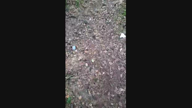 Outdoorgeil1 01-09-2024 Recorded Video kiss