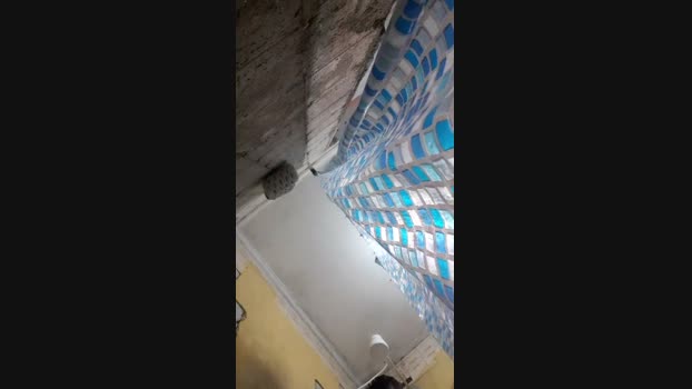 Vitinho19cm 01-09-2024 Recorded Video bigload
