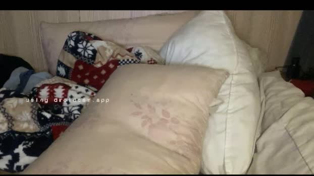 aries88327 02-09-2024 Recorded Video bigtoys