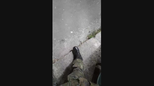 novinho809 02-09-2024 Recorded Video Show