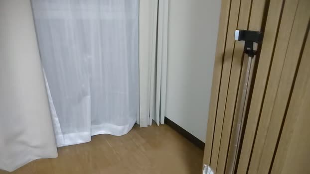 tokyo1130021kaz 02-09-2024 Recorded Video legs