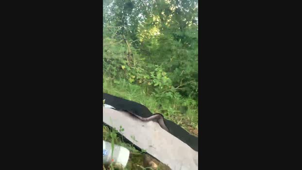 Joueurh 02-09-2024 Recorded Video beauty