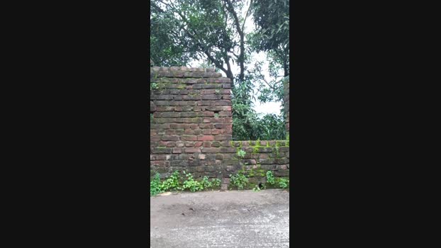 chiranjitho1 03-09-2024 Recorded Video suckshow