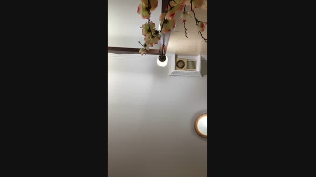 jorgeecoboo1807 03-09-2024 Recorded Video beauty