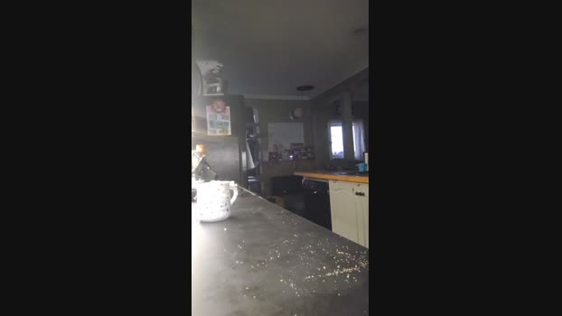 4_Fox_sakes 04-09-2024 Recorded Video fuckhard