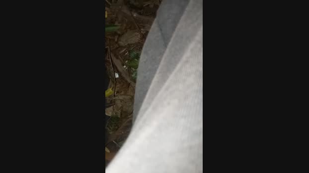 Casadosafado32