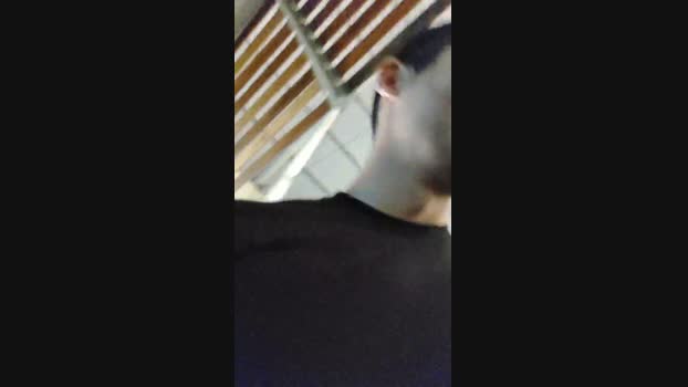 Lujuria_96 04-09-2024 Recorded Video cute