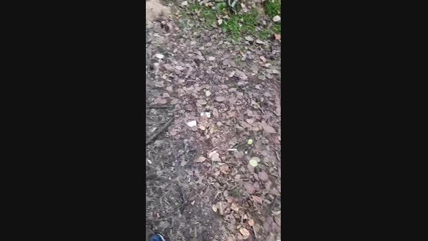 Outdoorgeil1 03-09-2024 Recorded Video Show