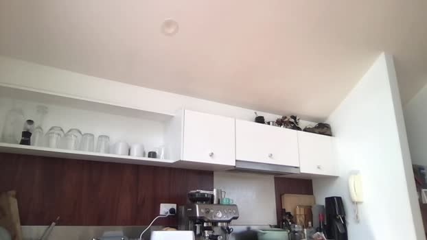 mansaf686 04-09-2024 Recorded Video natural