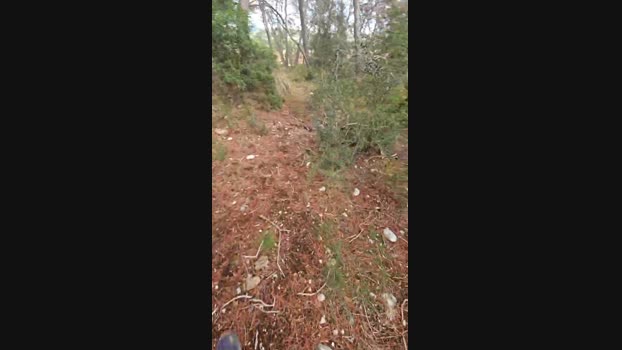 pitu68 04-09-2024 Recorded Video Video