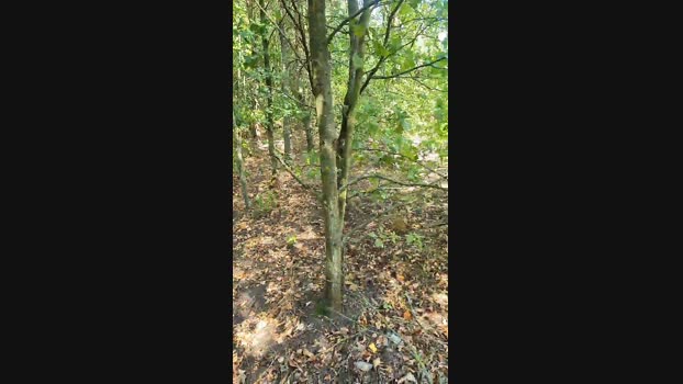 Loverber 05-09-2024 Recorded Video hard