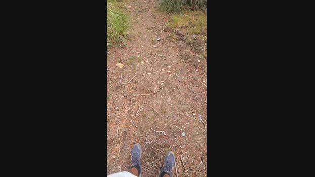 pitu68 04-09-2024 Recorded Video big