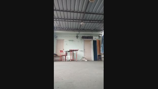 Guyfavelado193 06-09-2024 Recorded Video gag