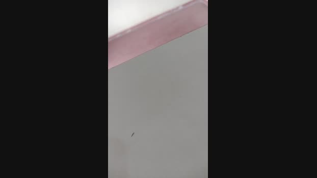 Picarosa19cm 06-09-2024 Recorded Video jackoff