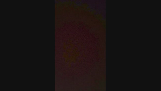 carp36 06-09-2024 Recorded Video spanking
