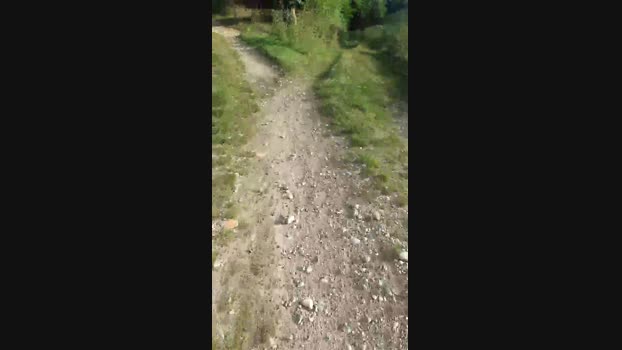 Legtiste 06-09-2024 Recorded Video Download