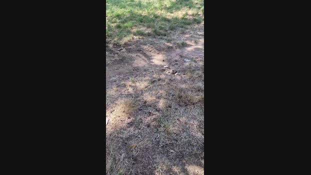 Outdoorgeil1 07-09-2024 Recorded Video hot