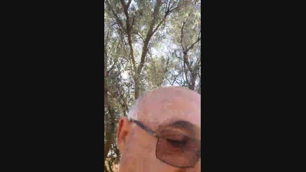 calvinsumiso 07-09-2024 Recorded Video nasty