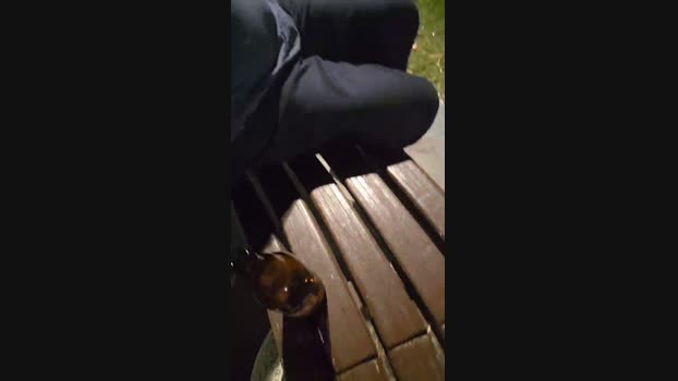 pollen_07 06-09-2024 Recorded Video jerkoff
