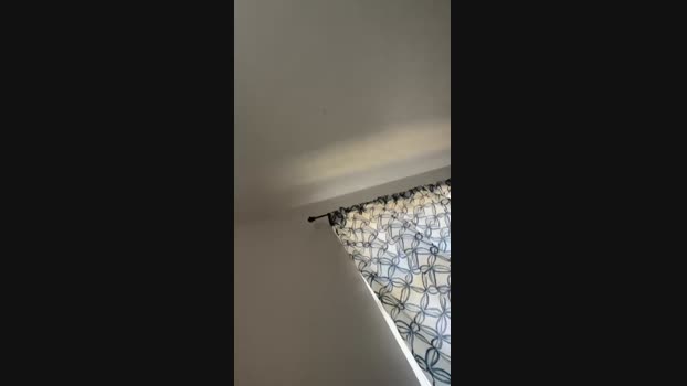 Benzolbub 07-09-2024 Recorded Video jerking
