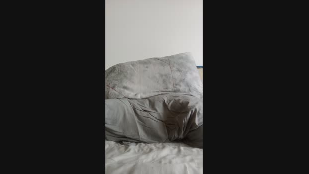 Magagna91 09-09-2024 Recorded Video legs