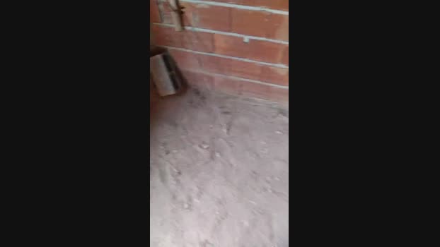 maikon21 09-09-2024 Recorded Video beauty