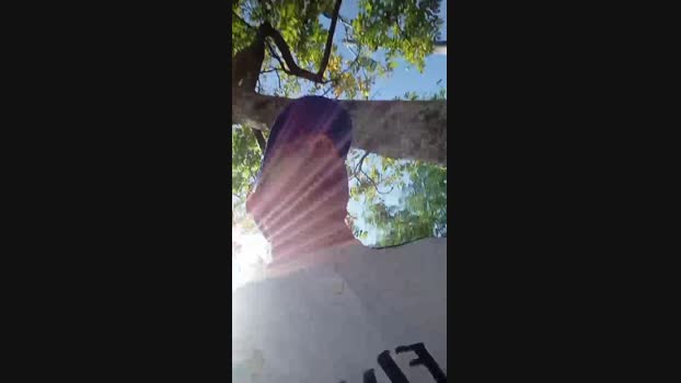 Bartisam 10-09-2024 Recorded Video fuckhard