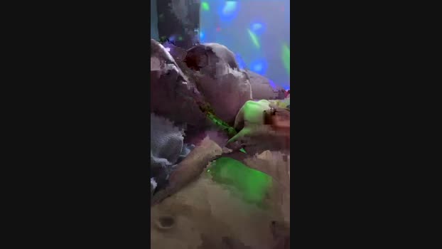 PutinhoSC2024 11-09-2024 Recorded Video sweet
