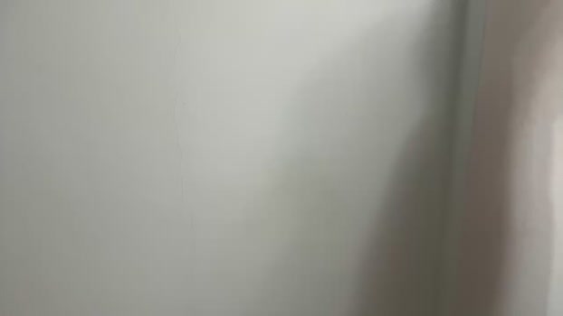 liutommy6 11-09-2024 Recorded Video bigtoys