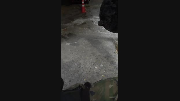 novinho809 11-09-2024 Recorded Video Video