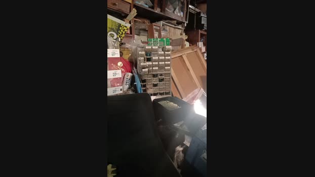 thompson3 11-09-2024 Recorded Video fuck