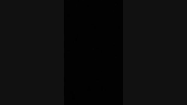 El_ceco 11-09-2024 Recorded Video nasty