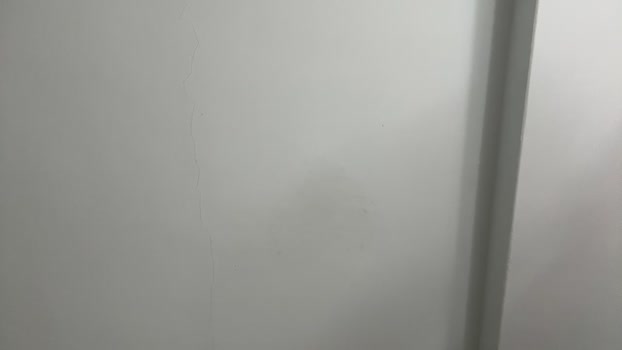 liutommy6 11-09-2024 Recorded Video lush