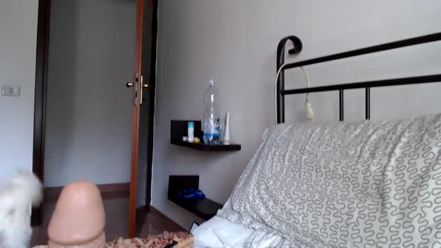 Legolar 13-09-2024 Recorded Video Download