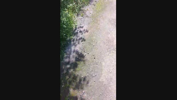 liegeois 14-09-2024 Recorded Video Topless