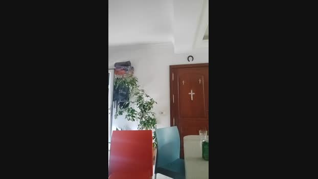 Militar8888 15-09-2024 Recorded Video strip