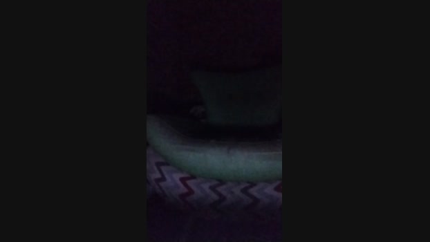 Morenooputoo 15-09-2024 Recorded Video show
