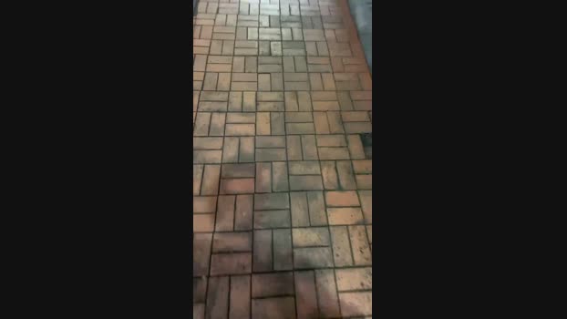 qwertasdf01 15-09-2024 Recorded Video amateur