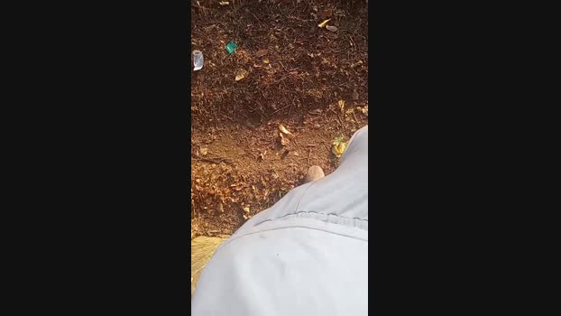 Bartisam 16-09-2024 Recorded Video amateur